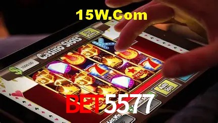 Bet5577 - User Statistics